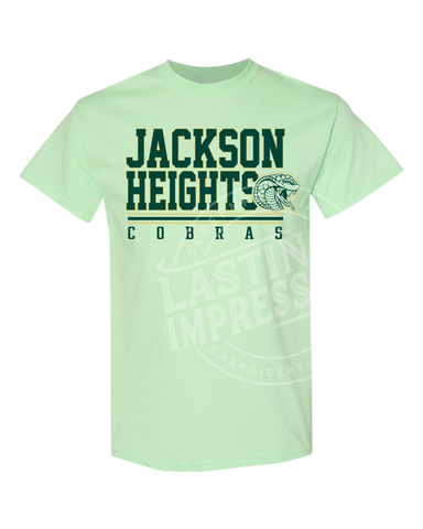 Jackson Heights Mint Green Adult T-Shirt