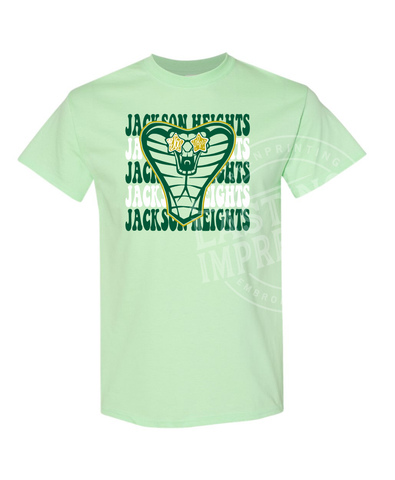 Jackson Heights Mint Green Youth Tee